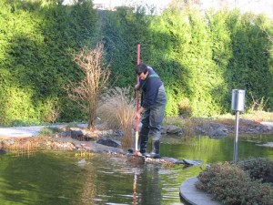 Wir pflegen ihren Gartenteich mit viel liebe zum Detail