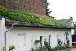 Bunte Dachbegrünung eines Privathauses in Köln