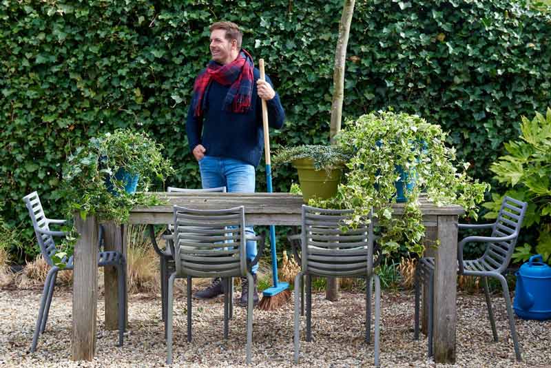 hecke glanzmispel red-robin Glanzmispelhecke | kaufen