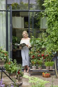 Gartenpflanze Monat Mai Gemüsepflanze