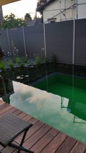 Schwimmteich kleiner Garten